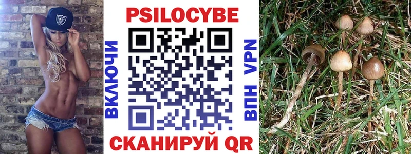 Псилоцибиновые грибы GOLDEN TEACHER  хочу   Красноармейск 